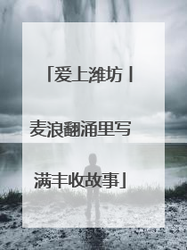 爱上潍坊丨麦浪翻涌里写满丰收故事