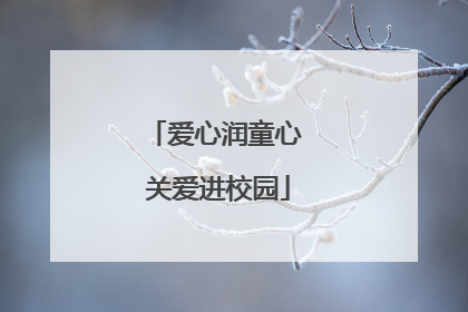 爱心润童心 关爱进校园