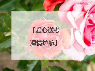 爱心送考 温情护航