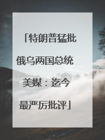 特朗普猛批俄乌两国总统 美媒：迄今最严厉批评