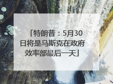 特朗普：5月30日将是马斯克在政府效率部最后一天