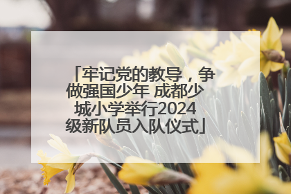 牢记党的教导，争做强国少年 成都少城小学举行2024级新队员入队仪式