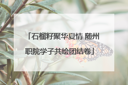 石榴籽聚华夏情 随州职院学子共绘团结卷