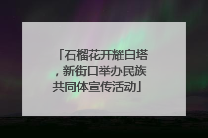 石榴花开耀白塔，新街口举办民族共同体宣传活动