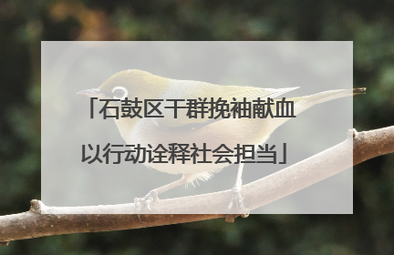 石鼓区干群挽袖献血 以行动诠释社会担当