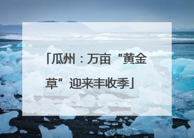 瓜州：万亩“黄金草”迎来丰收季