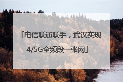 电信联通联手，武汉实现4/5G全频段一张网