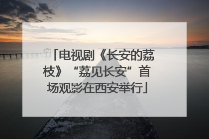 电视剧《长安的荔枝》“荔见长安”首场观影在西安举行