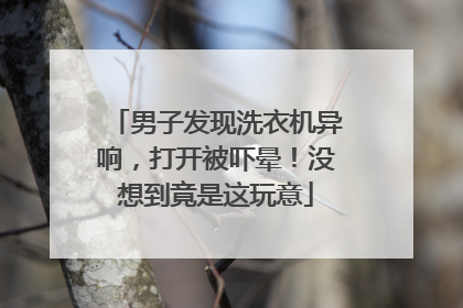 男子发现洗衣机异响，打开被吓晕！没想到竟是这玩意
