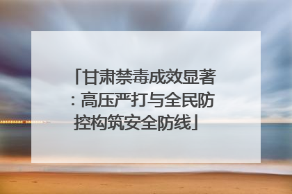 甘肃禁毒成效显著：高压严打与全民防控构筑安全防线