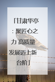 甘肃华亭：聚匠心之力 高质量发展迈上新台阶