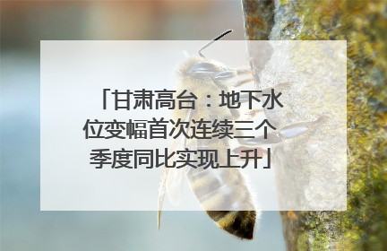 甘肃高台：地下水位变幅首次连续三个季度同比实现上升