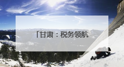 甘肃：税务领航 助企合规前行