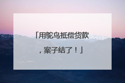 用鸵鸟抵偿货款，案子结了！