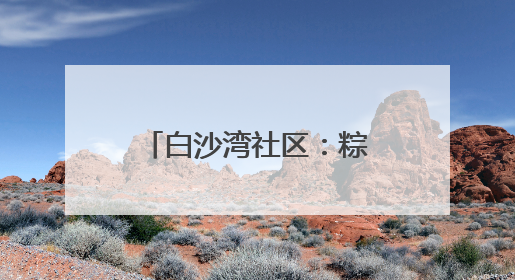 白沙湾社区：粽香守安筑防线 清风润廉护家园