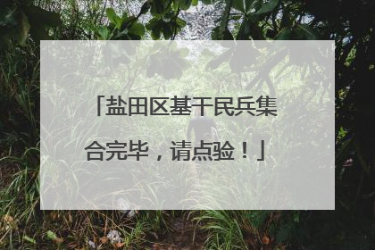盐田区基干民兵集合完毕，请点验！