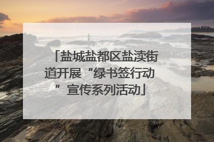 盐城盐都区盐渎街道开展“绿书签行动”宣传系列活动