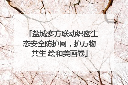 盐城多方联动织密生态安全防护网，护万物共生 绘和美画卷