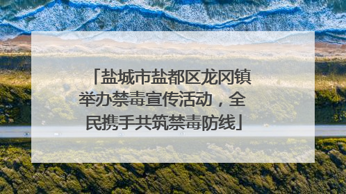 盐城市盐都区龙冈镇举办禁毒宣传活动，全民携手共筑禁毒防线
