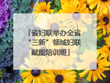 省妇联举办全省“三新”领域妇联赋能培训班