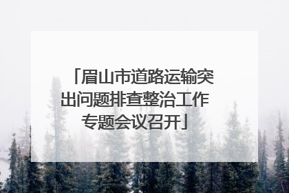 眉山市道路运输突出问题排查整治工作专题会议召开