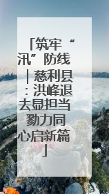 筑牢“汛”防线｜慈利县：洪峰退去显担当 勠力同心启新篇