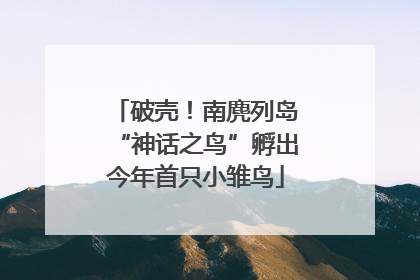 破壳！南麂列岛“神话之鸟”孵出今年首只小雏鸟
