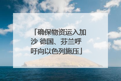 确保物资运入加沙 德国、芬兰呼吁向以色列施压