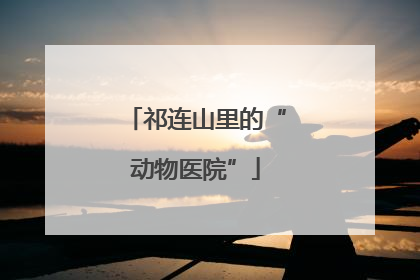 祁连山里的“动物医院”