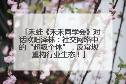 禾蛙《禾禾同学会》对话欧阳泽林：社交网络中的“超级个体”，反常规重构行业生态！