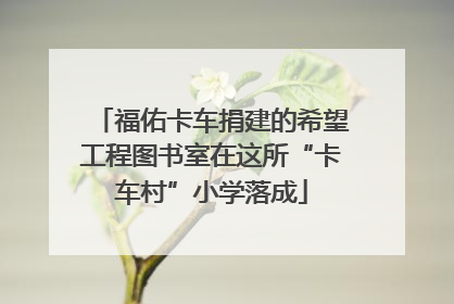福佑卡车捐建的希望工程图书室在这所“卡车村”小学落成