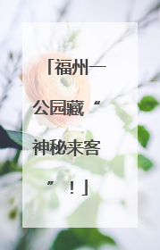 福州一公园藏“神秘来客”！