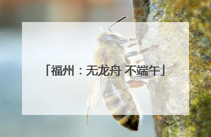 福州：无龙舟 不端午