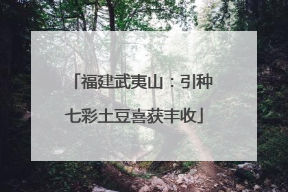 福建武夷山：引种七彩土豆喜获丰收