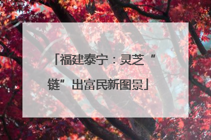 福建泰宁：灵芝“链”出富民新图景