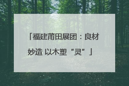 福建莆田展团：良材妙造 以木塑“灵”