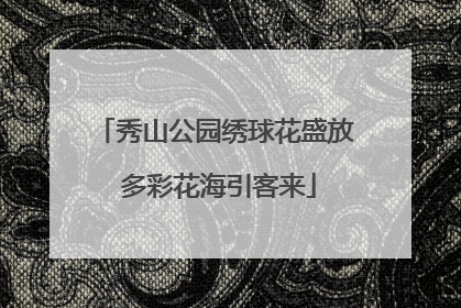 秀山公园绣球花盛放 多彩花海引客来