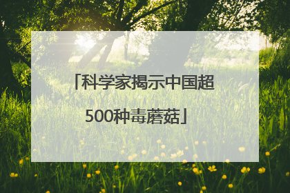 科学家揭示中国超500种毒蘑菇