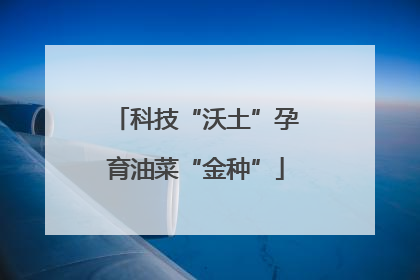 科技“沃土”孕育油菜“金种”