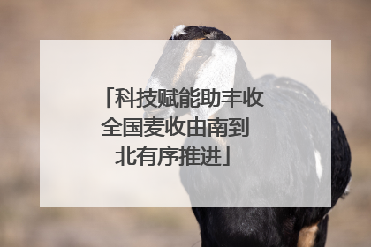 科技赋能助丰收 全国麦收由南到北有序推进