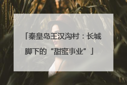 秦皇岛王汉沟村：长城脚下的“甜蜜事业”