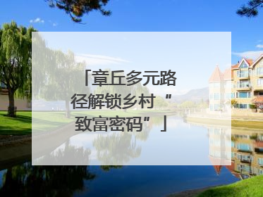 章丘多元路径解锁乡村“致富密码”