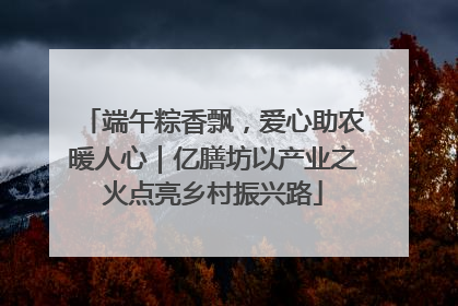端午粽香飘，爱心助农暖人心｜亿膳坊以产业之火点亮乡村振兴路