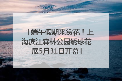 端午假期来赏花！上海滨江森林公园绣球花展5月31日开幕