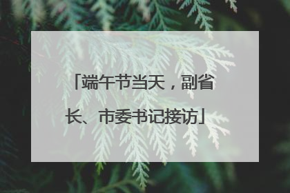 端午节当天，副省长、市委书记接访
