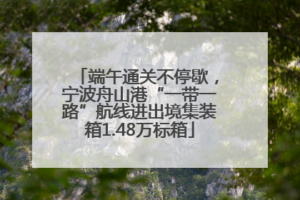 端午通关不停歇，宁波舟山港“一带一路”航线进出境集装箱1.48万标箱