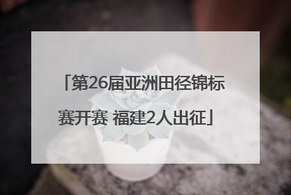 第26届亚洲田径锦标赛开赛 福建2人出征