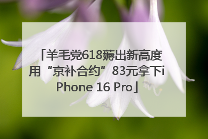 羊毛党618薅出新高度 用“京补合约”83元拿下iPhone 16 Pro