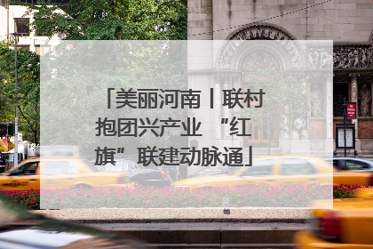 美丽河南丨联村抱团兴产业 “红旗”联建动脉通