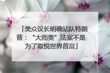 美众议长明确站队特朗普：“大而美”法案不是为了取悦世界首富